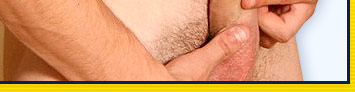 Boyfun Collection
